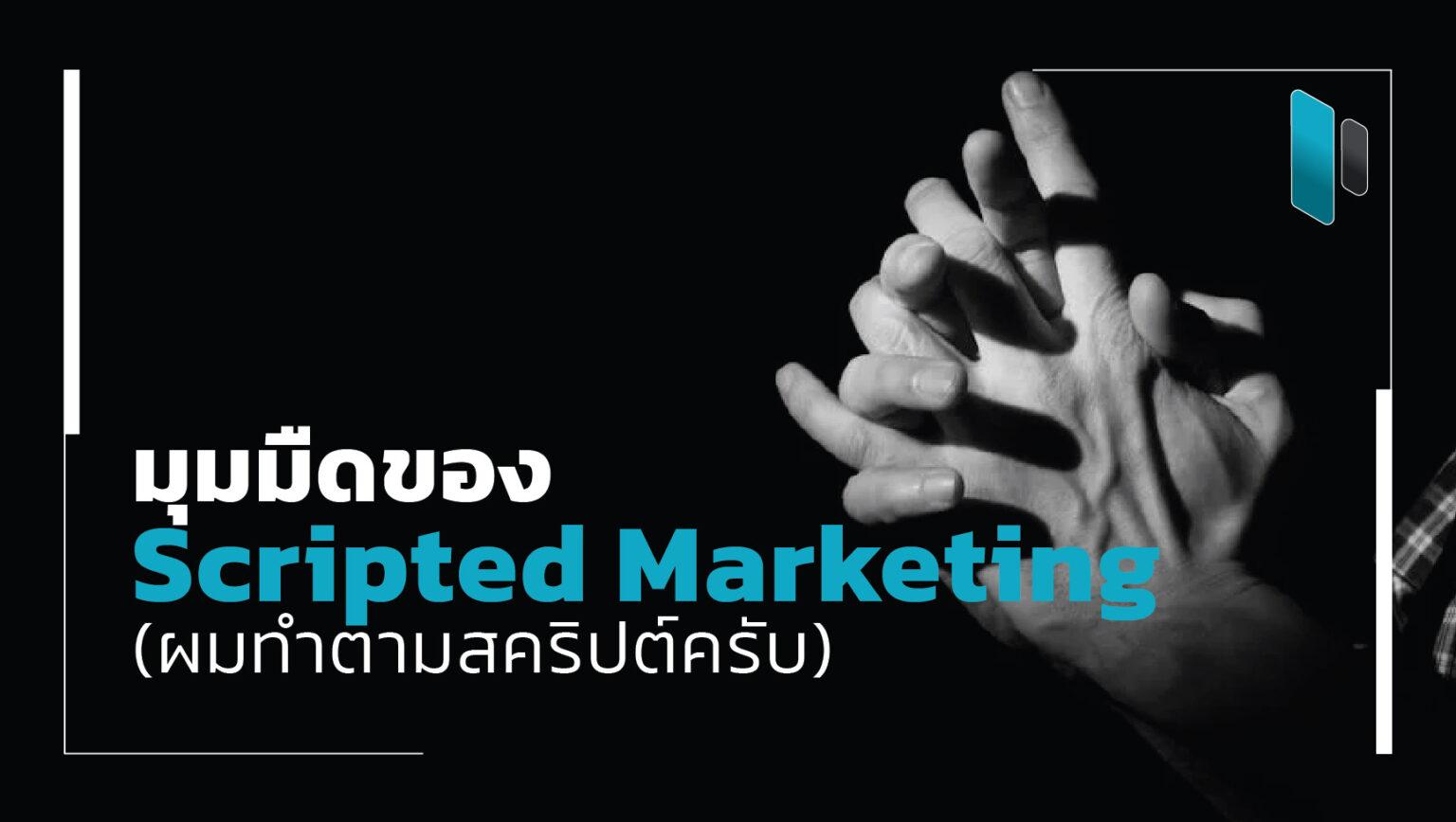 Scripted Marketing | Popticles.com