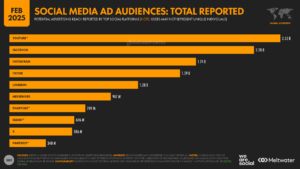 Social-Media-Ad-Audiences-2025