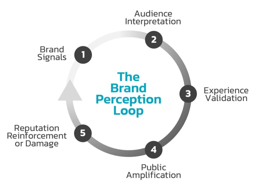 The-Brand-Perception-Loop The-Brand-Perception-Loop