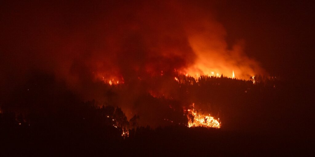 forest fire at night