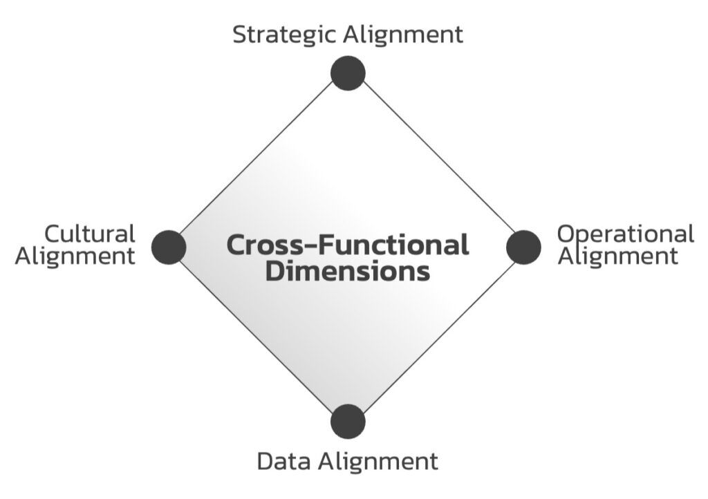 Key-Dimensions-of-Cross-Functional