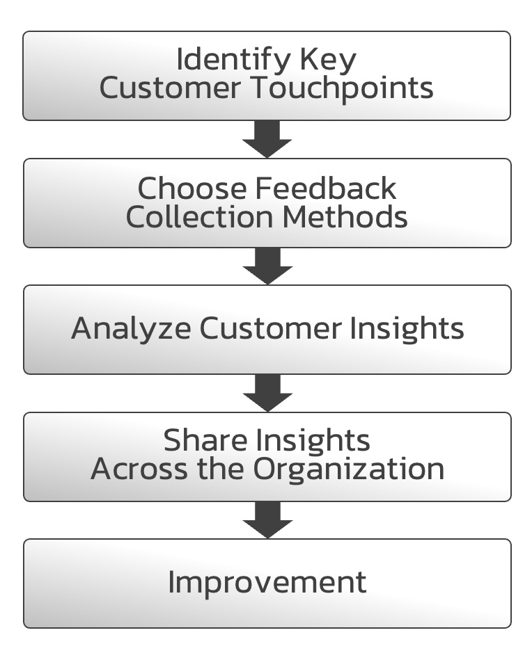 Steps-to-Create-Voice-of-Customer-System