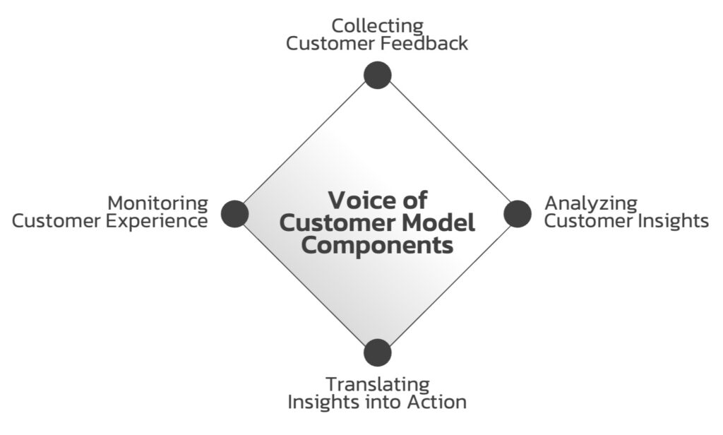 Voice-of-Customer-Model-Components
