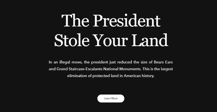 Patagonia The President Stole Your Land Campaign