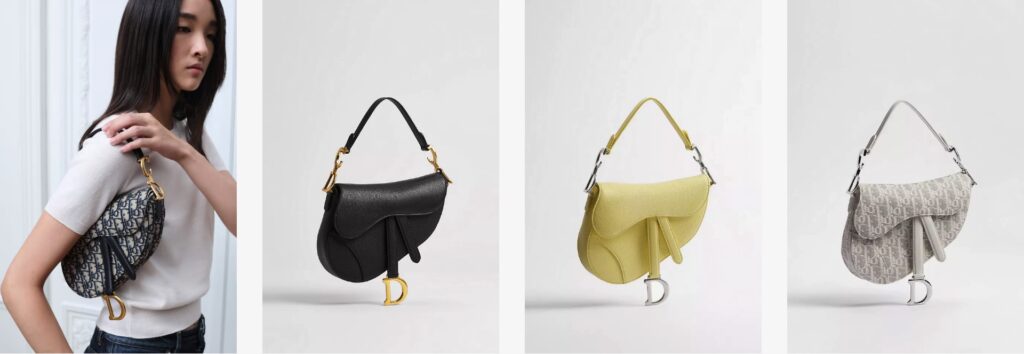 Saddle-Bag-Dior-Groove Saddle-Bag-Dior-Groove