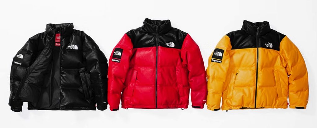 Supreme X The North Face